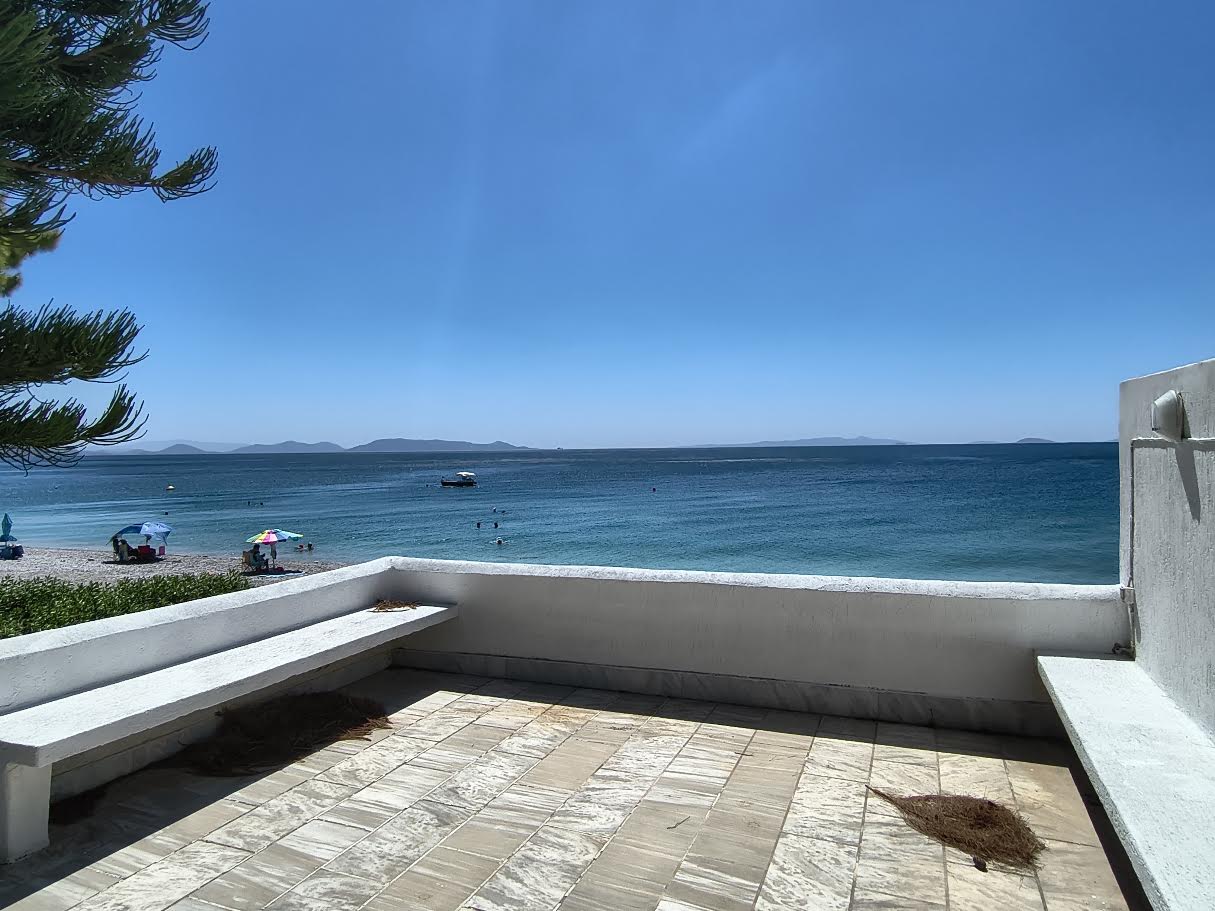 Aerial view of the pool, garden and sea